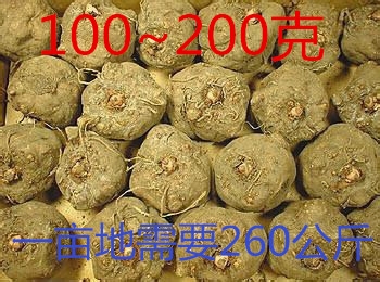 100~200ke_副本.jpg
